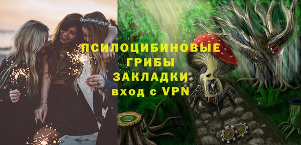Альфа ПВП Алексин