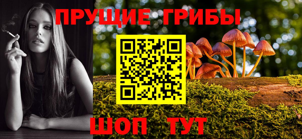 Элиста  Псилоцибиновые грибы мухоморы  Вход с VPN 