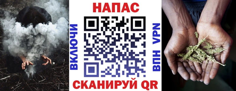 как найти наркотики  Элиста  Бошки марихуана индика 