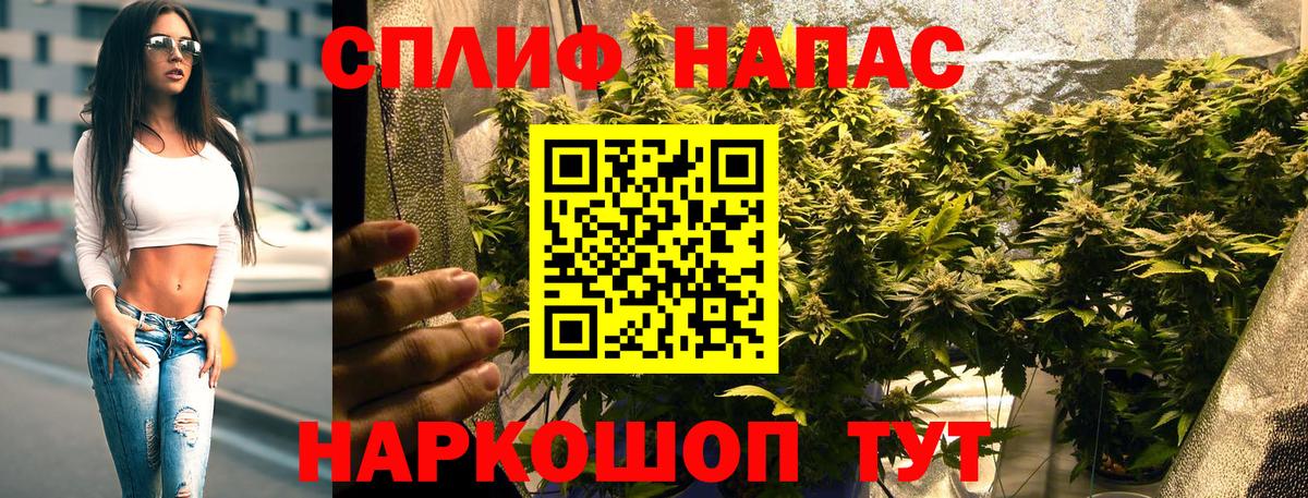 Каннабис тримм  Шишки марихуана тримм  Элиста  Марихуана ГИДРОПОН  Вход с VPN 